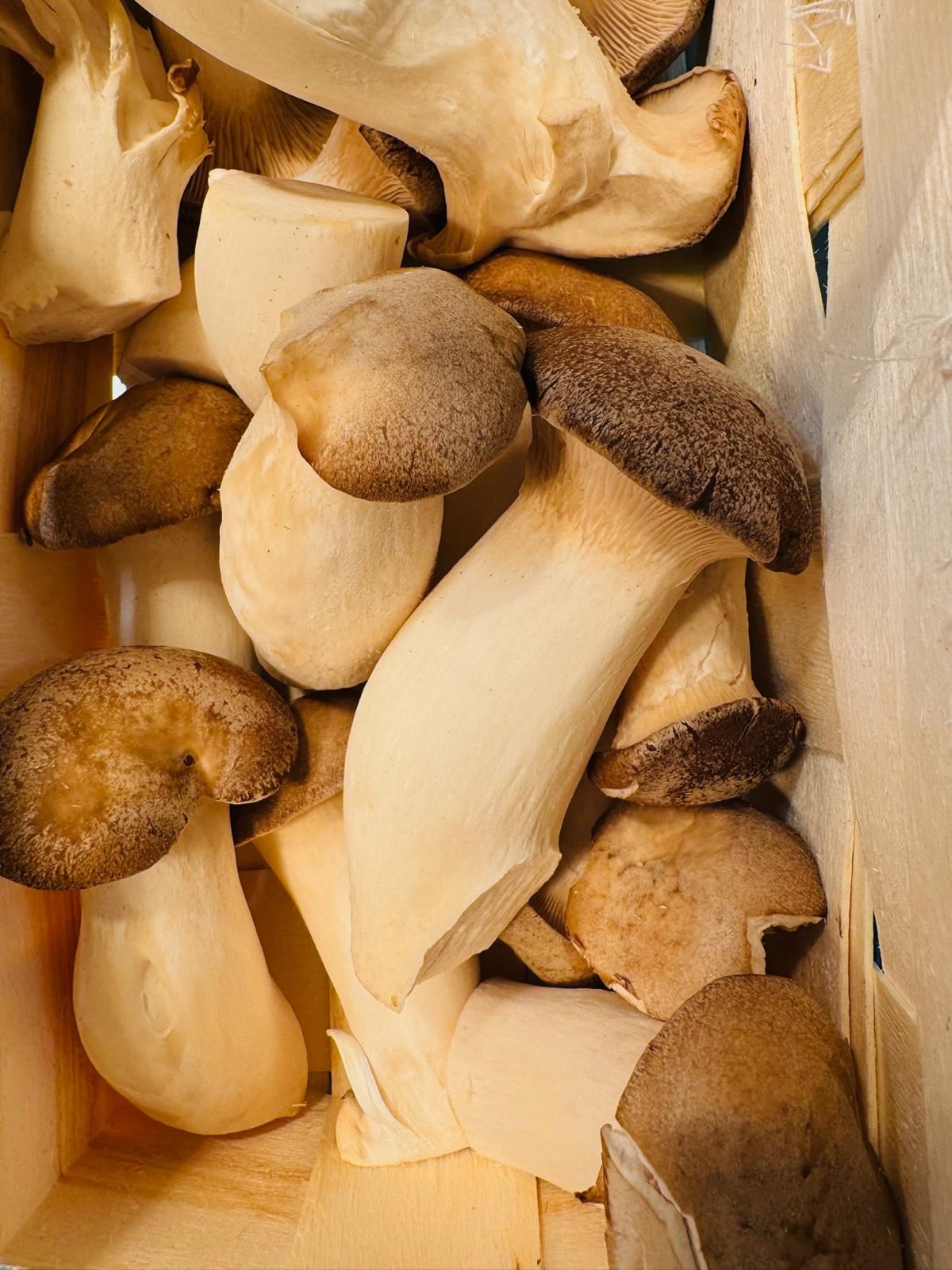 Frische Pilze in der Papiertüte