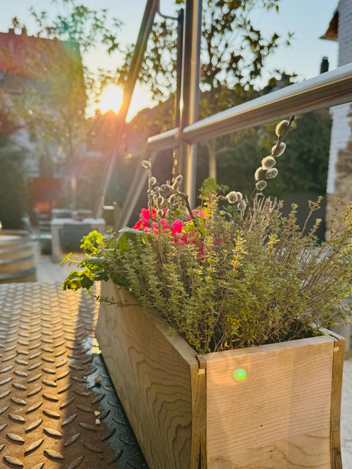 Die Terrasse des Joujou im Abendlicht, Lavendel im Vordergrund
